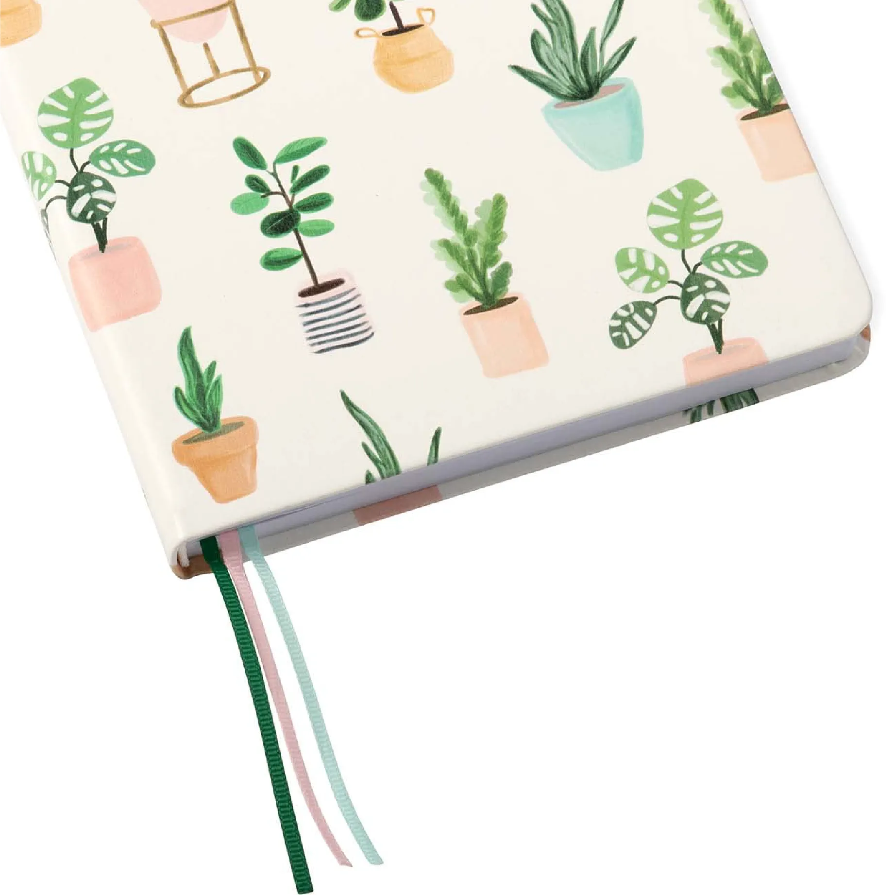 A5 Lined Soft Cover Journal | Succulents