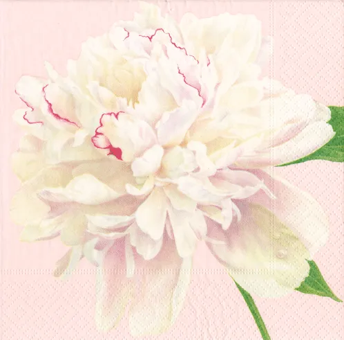 Caspari | Duchess Peonies Blush Napkin