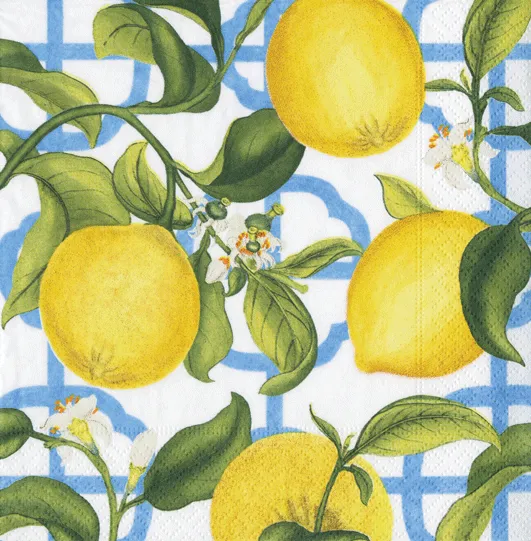 Caspari | Seville Ivory Napkin