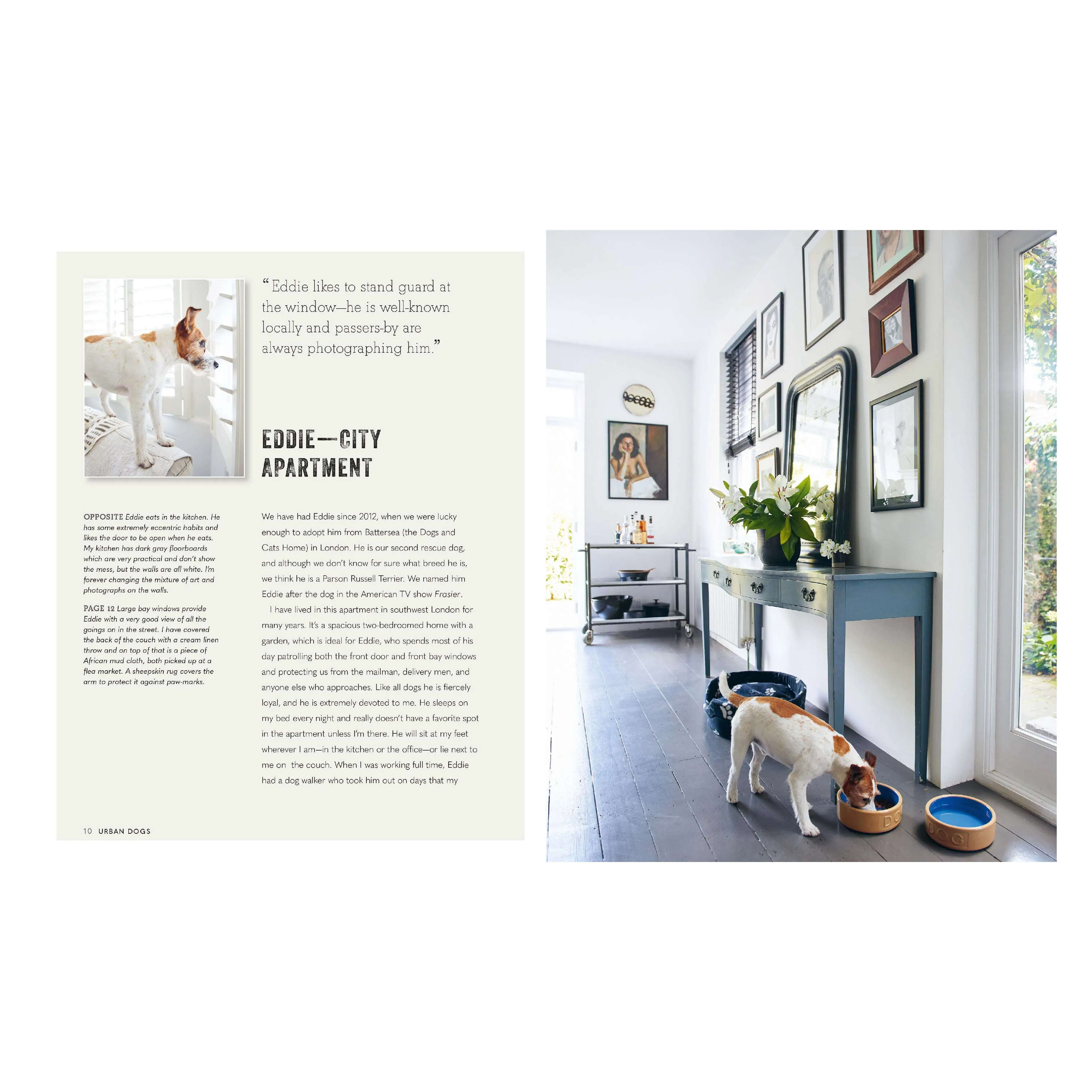 'Cool Dogs, Cool Homes: Living in Style with Your Pet Pooch' Book | Geraldine James