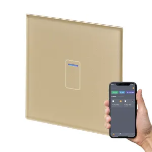 Retrotouch Crystal  Touch WIFI Switch 240v 1G Brass