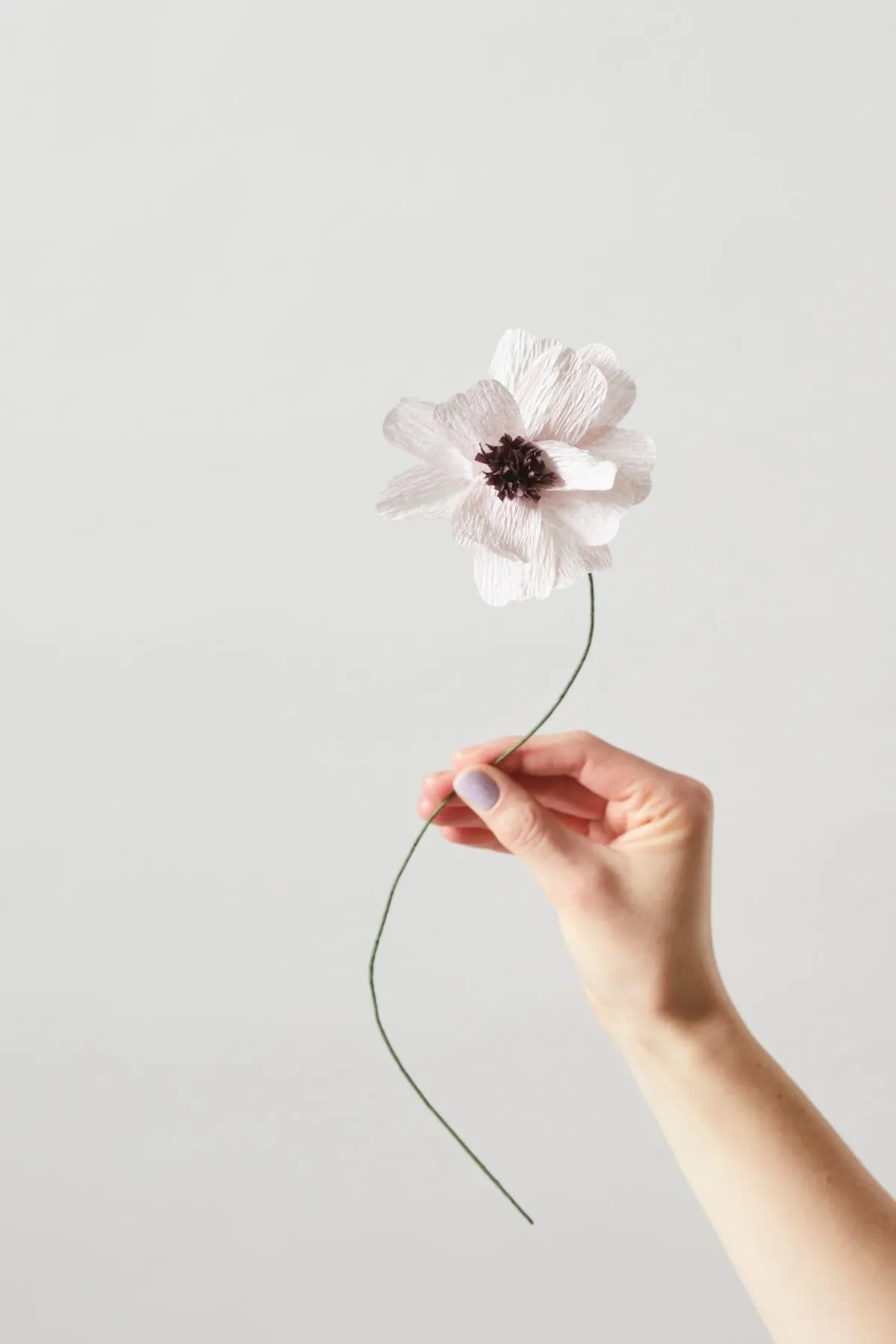 Studio About Paper Flower Daisy, Purple
