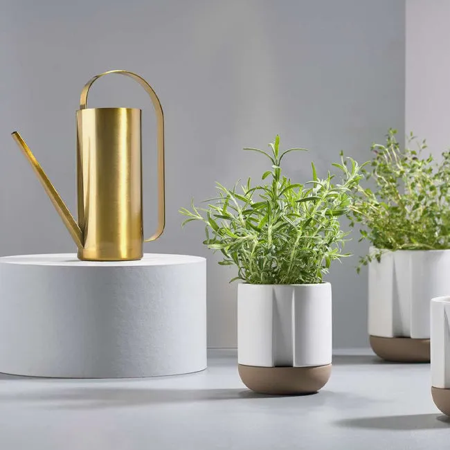 Zone | Watering Can Brass-Finish