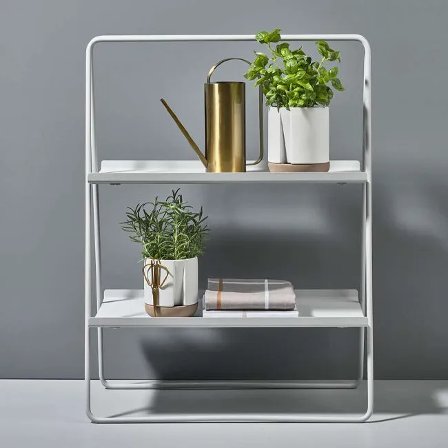 Zone | Watering Can Brass-Finish
